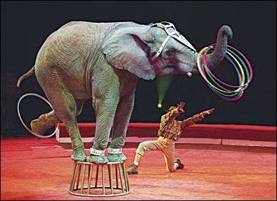 elefante-circo