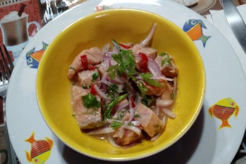 Ceviche de salmão