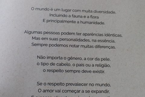 A Diversidade da Humanidade (Clarissa Escosteguy)