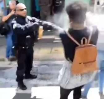 A cidade como local do exercício pleno da dignidade humana – animais covardes