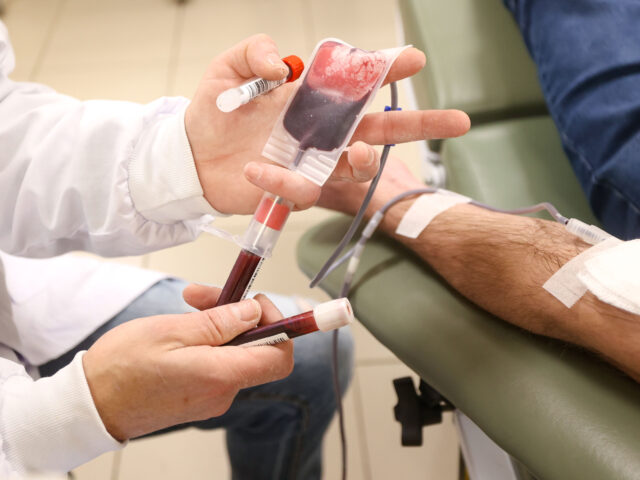 O nível da imbecilidade